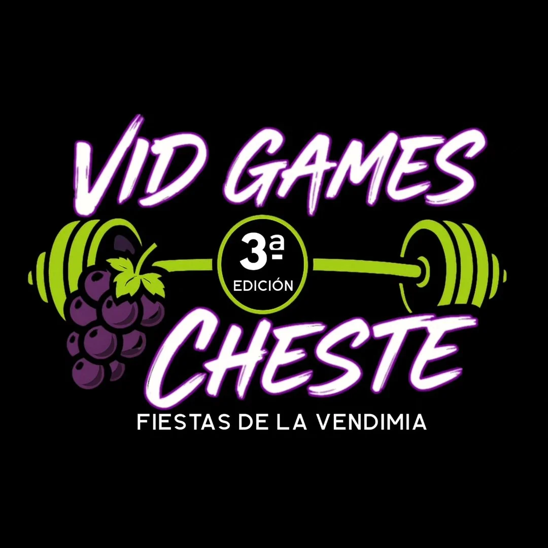 Vid Games logo